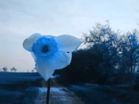 Another II (MIDI to mp3)